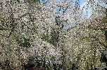 05051372.jpg