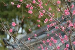 06031322.jpg
