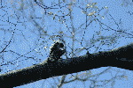 01041392.gif