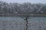 02112402.jpg (4459 oCg)