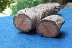 座る, ブルー, クマ, 水 が含まれている画像
自動的に生成された説明