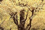 05120412.jpg