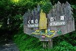 05072572.jpg
